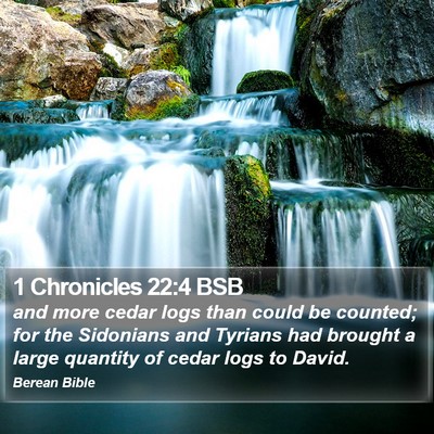 1 Chronicles 22:4 BSB Bible Verse Image