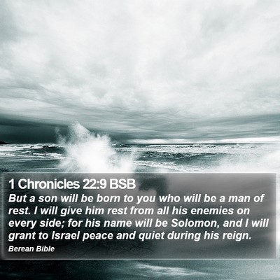 1 Chronicles 22:9 BSB Bible Verse Image
