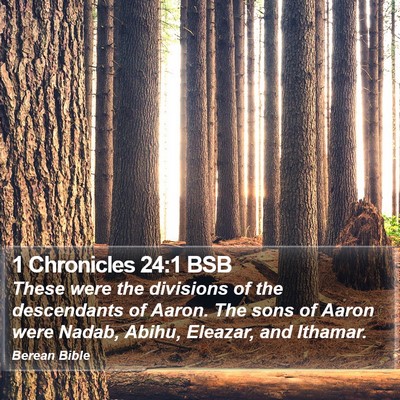 1 Chronicles 24:1 BSB Bible Verse Image