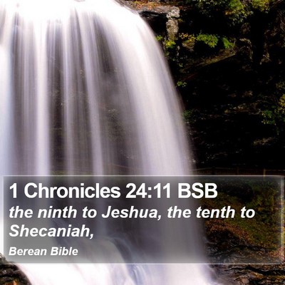1 Chronicles 24:11 BSB Bible Verse Image