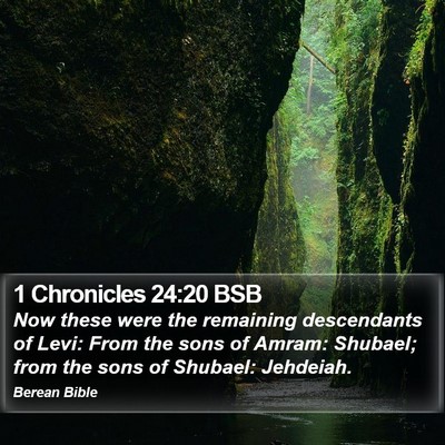 1 Chronicles 24:20 BSB Bible Verse Image