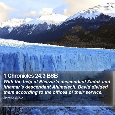 1 Chronicles 24:3 BSB Bible Verse Image