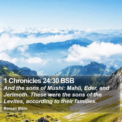 1 Chronicles 24:30 BSB Bible Verse Image