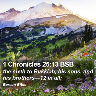 1 Chronicles 25:13 BSB Bible Verse Image