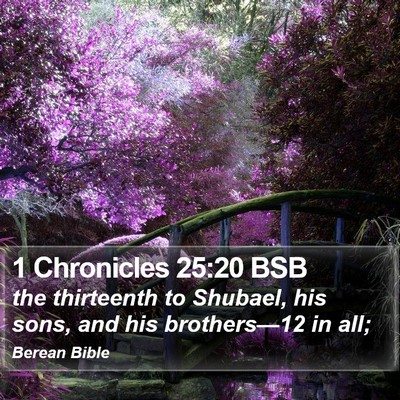 1 Chronicles 25:20 BSB Bible Verse Image