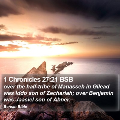 1 Chronicles 27:21 BSB Bible Verse Image