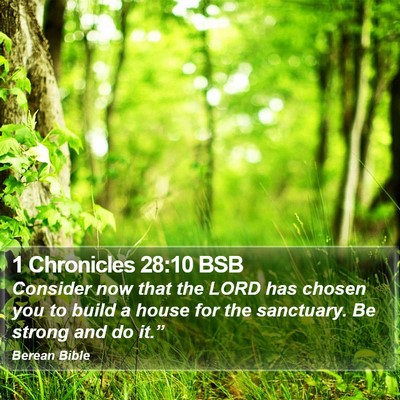 1 Chronicles 28:10 BSB Bible Verse Image