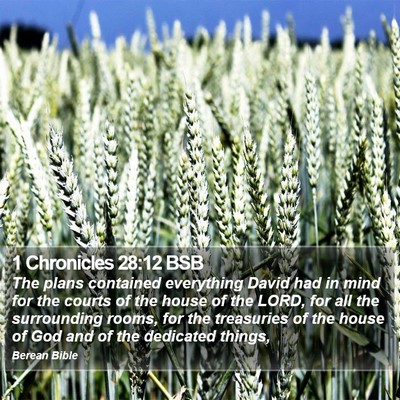 1 Chronicles 28:12 BSB Bible Verse Image