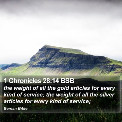 1 Chronicles 28:14 BSB Bible Verse Image
