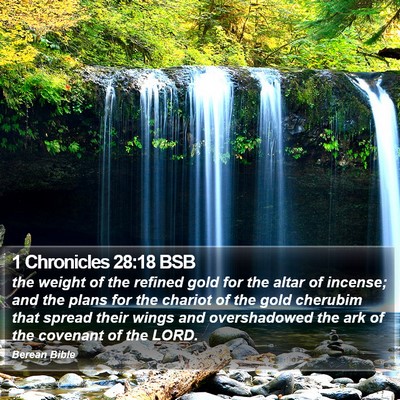 1 Chronicles 28:18 BSB Bible Verse Image