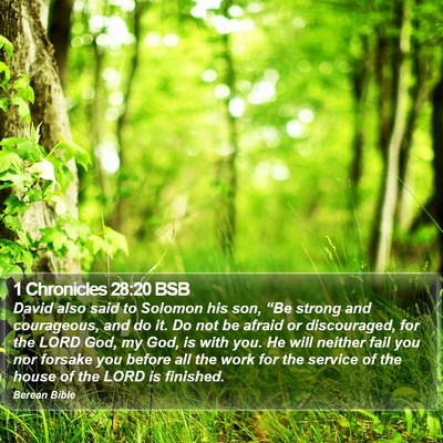 1 Chronicles 28:20 BSB Bible Verse Image