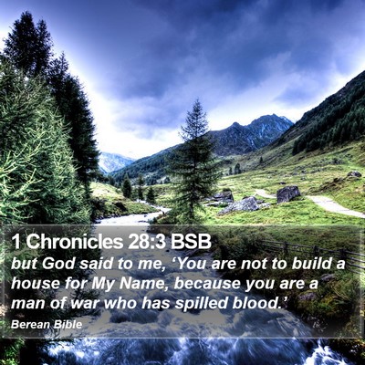 1 Chronicles 28:3 BSB Bible Verse Image