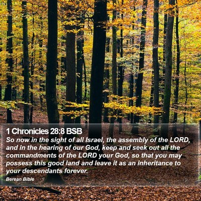 1 Chronicles 28:8 BSB Bible Verse Image