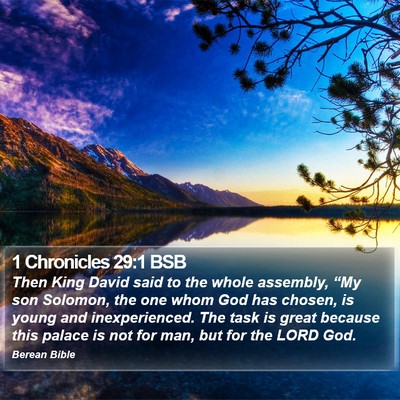 1 Chronicles 29:1 BSB Bible Verse Image