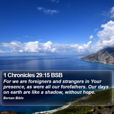 1 Chronicles 29:15 BSB Bible Verse Image