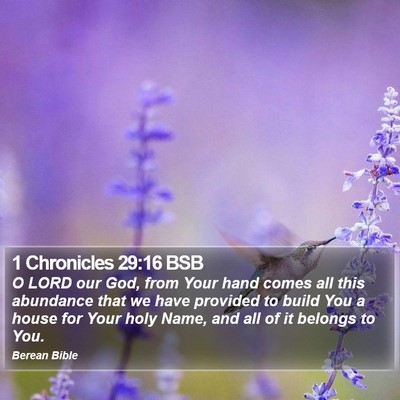 1 Chronicles 29:16 BSB Bible Verse Image