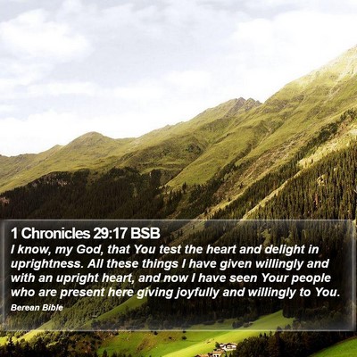 1 Chronicles 29:17 BSB Bible Verse Image