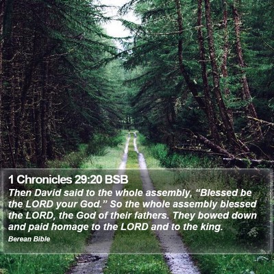 1 Chronicles 29:20 BSB Bible Verse Image