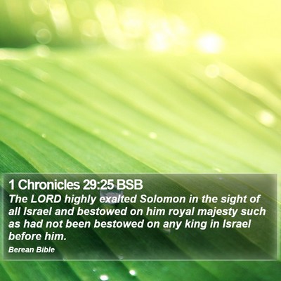 1 Chronicles 29:25 BSB Bible Verse Image