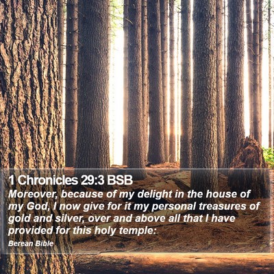 1 Chronicles 29:3 BSB Bible Verse Image