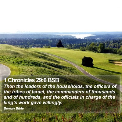 1 Chronicles 29:6 BSB Bible Verse Image
