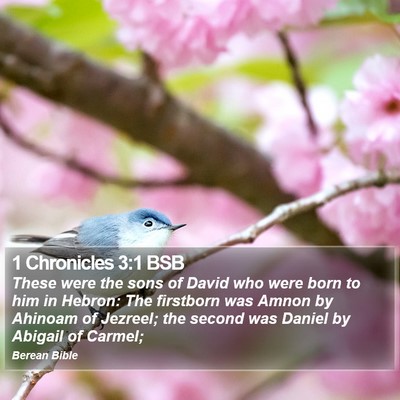 1 Chronicles 3:1 BSB Bible Verse Image