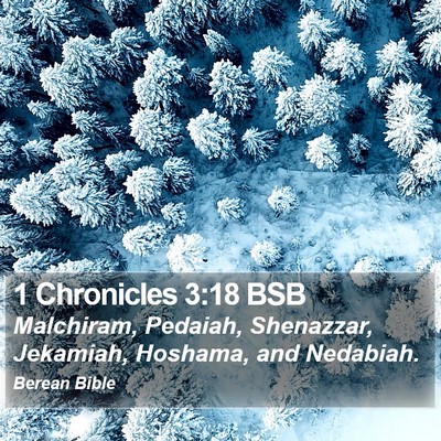 1 Chronicles 3:18 BSB Bible Verse Image