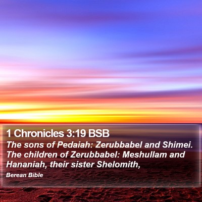 1 Chronicles 3:19 BSB Bible Verse Image
