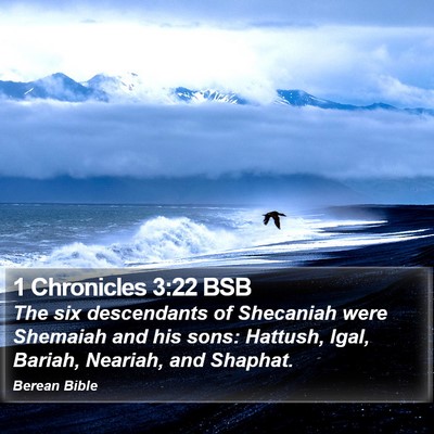 1 Chronicles 3:22 BSB Bible Verse Image
