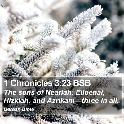 1 Chronicles 3:23 BSB Bible Verse Image
