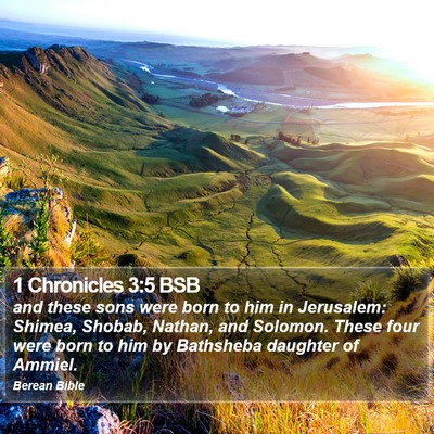 1 Chronicles 3:5 BSB Bible Verse Image
