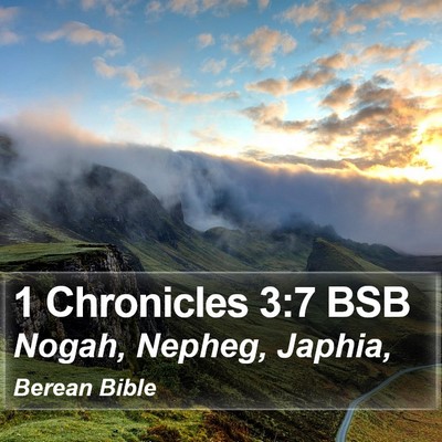1 Chronicles 3:7 BSB Bible Verse Image