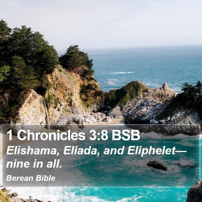 1 Chronicles 3:8 BSB Bible Verse Image