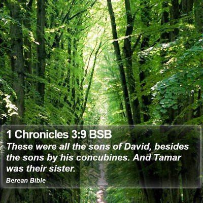 1 Chronicles 3:9 BSB Bible Verse Image