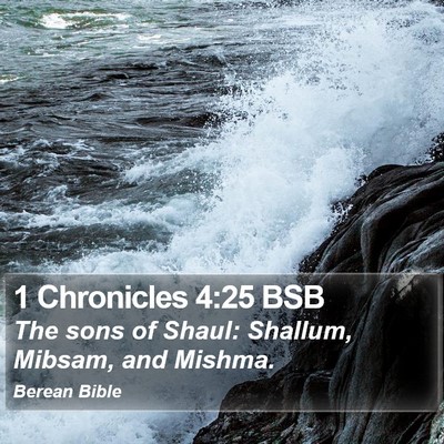 1 Chronicles 4:25 BSB Bible Verse Image