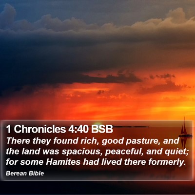 1 Chronicles 4:40 BSB Bible Verse Image