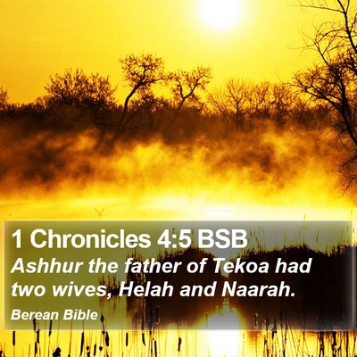 1 Chronicles 4:5 BSB Bible Verse Image
