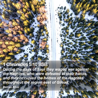 1 Chronicles 5:10 BSB Bible Verse Image