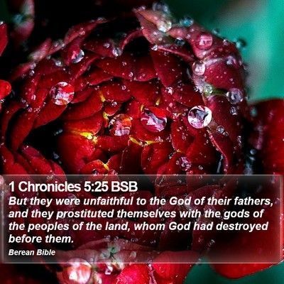 1 Chronicles 5:25 BSB Bible Verse Image