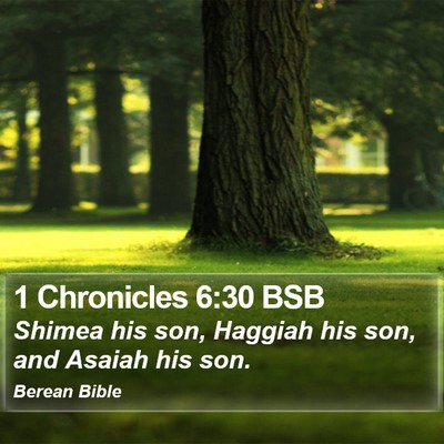 1 Chronicles 6:30 BSB Bible Verse Image