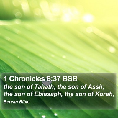 1 Chronicles 6:37 BSB Bible Verse Image