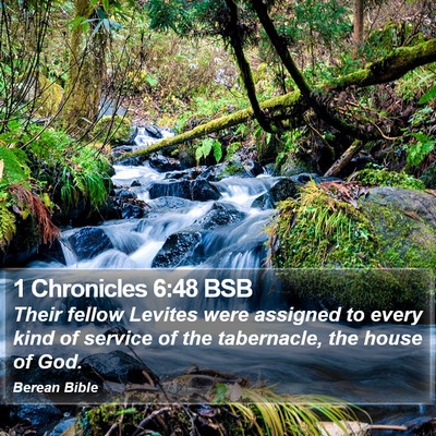 1 Chronicles 6:48 BSB Bible Verse Image