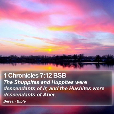 1 Chronicles 7:12 BSB Bible Verse Image