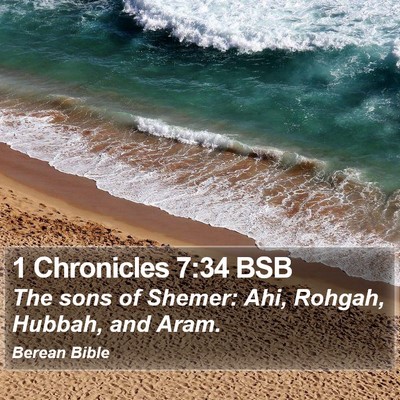 1 Chronicles 7:34 BSB Bible Verse Image