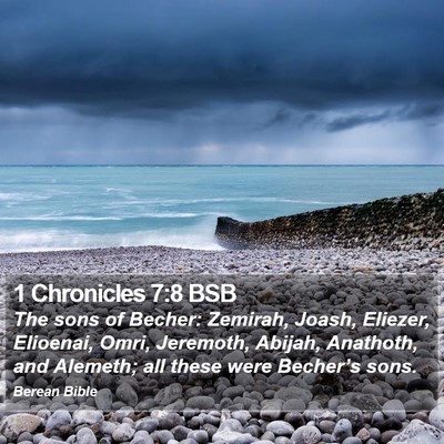 1 Chronicles 7:8 BSB Bible Verse Image