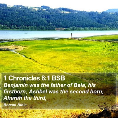 1 Chronicles 8:1 BSB Bible Verse Image