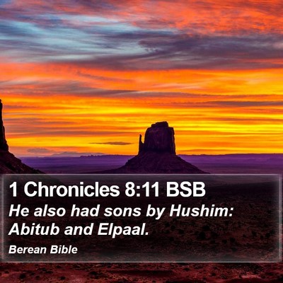 1 Chronicles 8:11 BSB Bible Verse Image