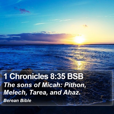 1 Chronicles 8:35 BSB Bible Verse Image