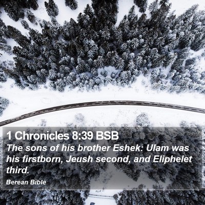 1 Chronicles 8:39 BSB Bible Verse Image