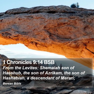 1 Chronicles 9:14 BSB Bible Verse Image